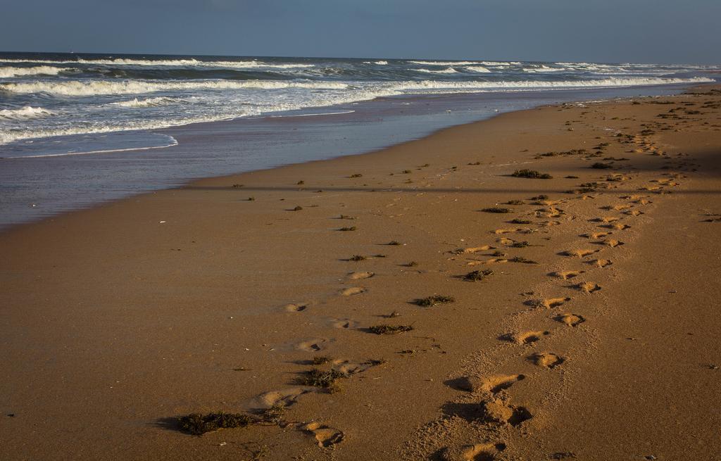 View The Ocean At Flagler Beach, Florida Exteriör bild